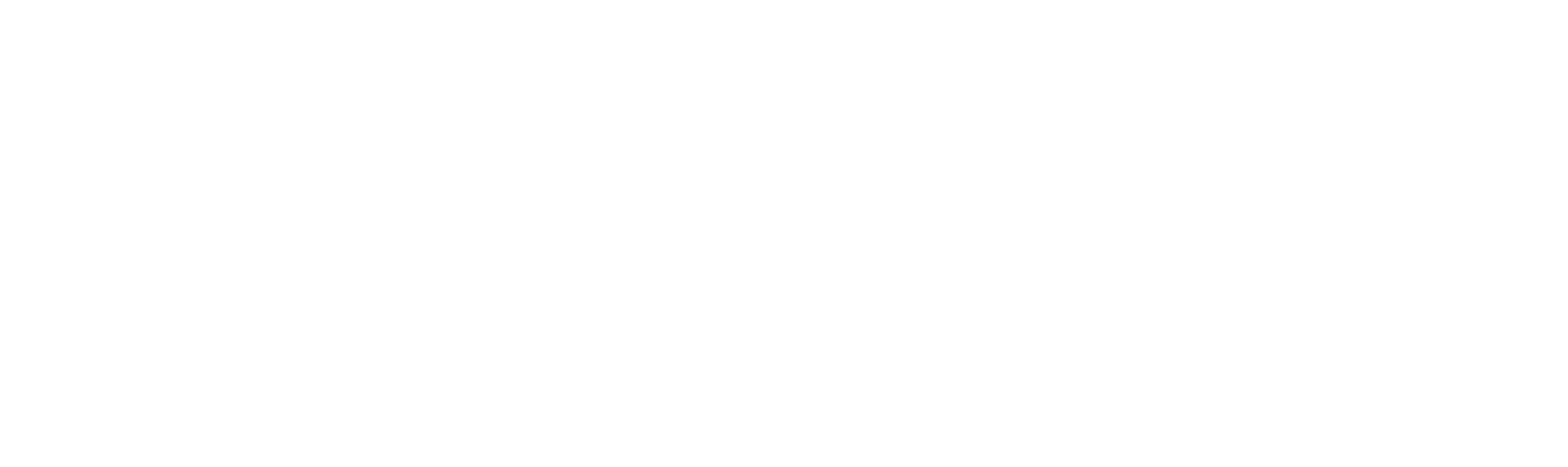 logo pag